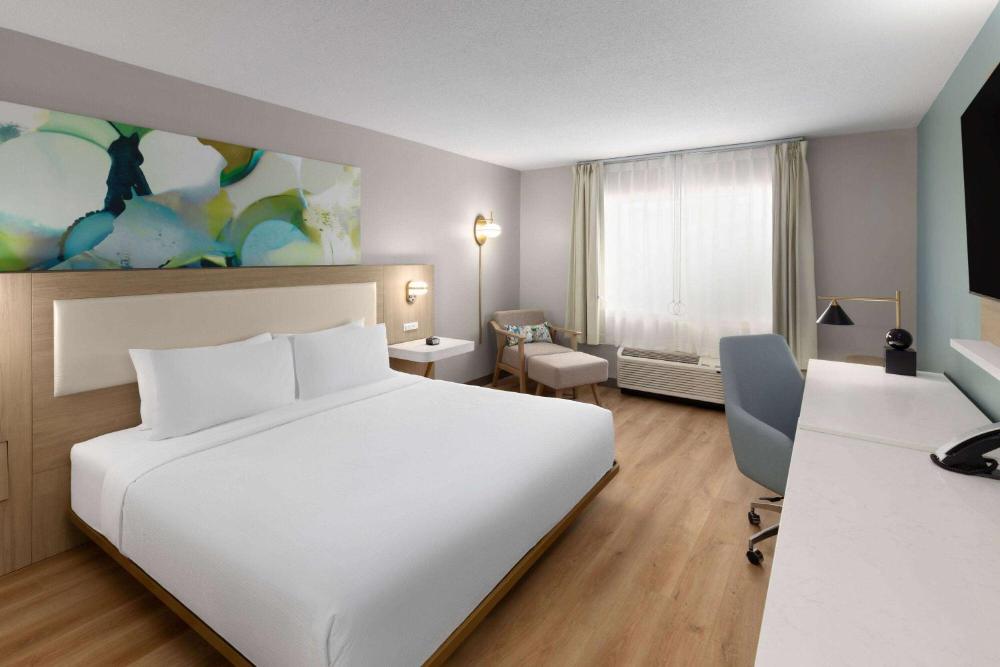 King Room with Mobility/Hearing Access and Roll-In Shower, Non-Smoking interior
